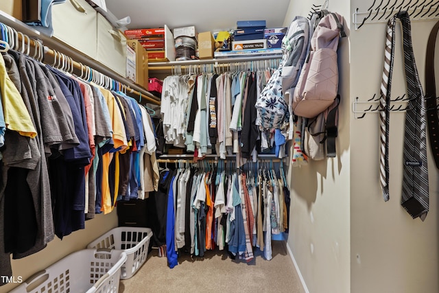 spacious closet featuring carpet floors