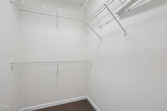 spacious closet with carpet floors