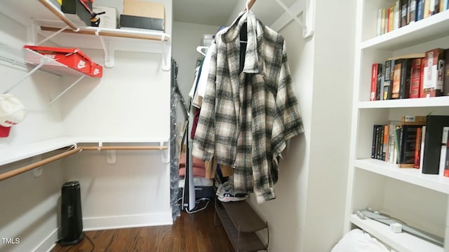 walk in closet featuring wood finished floors