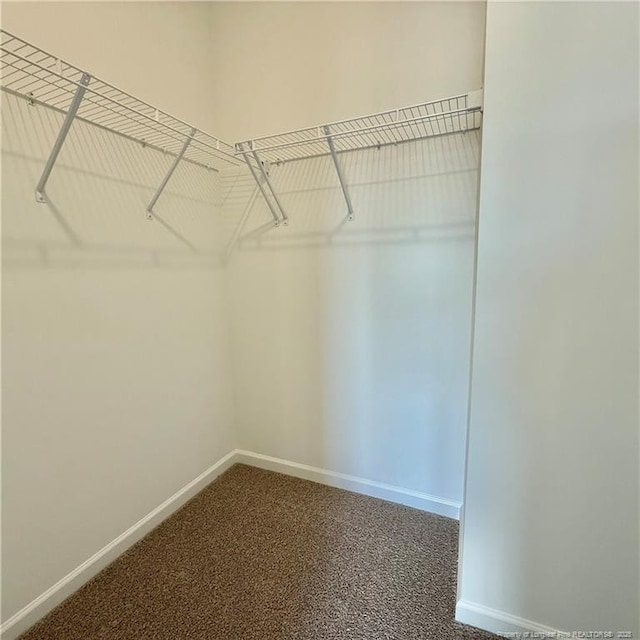 659 Union St, Home, Raeford, NC 28376 - spacious closet with carpet