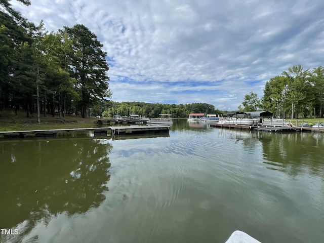 dock area featuring a water view