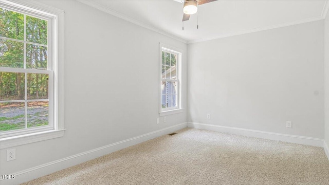 carpeted spare room with a ceiling fan, visible vents, baseboards, and crown molding