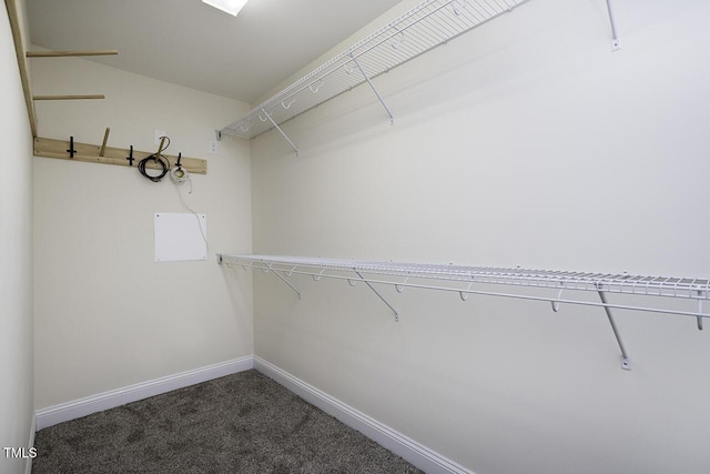 spacious closet with carpet floors