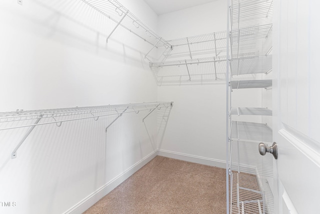 spacious closet with carpet floors