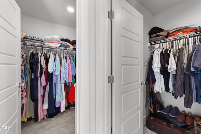 view of closet