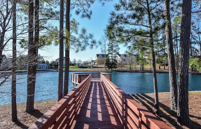 dock area with a water view