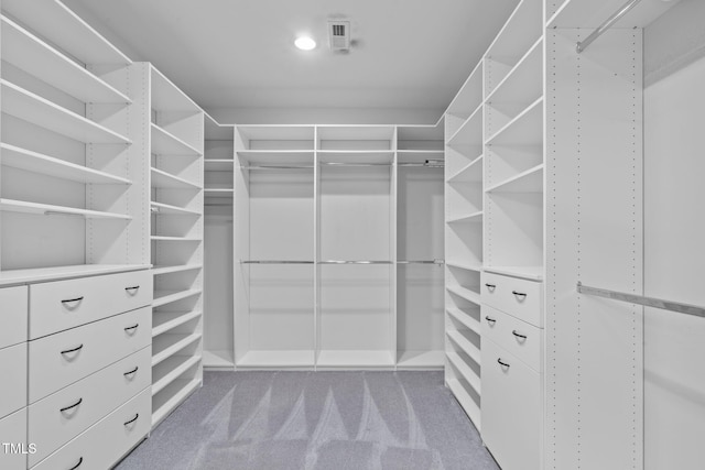 walk in closet with carpet floors