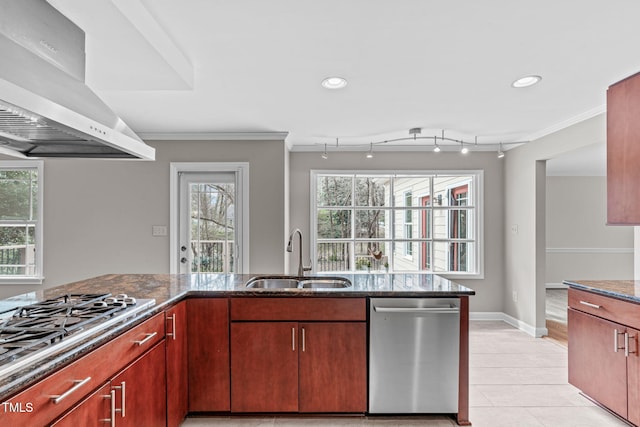 kitchen with crown molding, exhaust hood, appliances with stainless steel finishes, and a sink