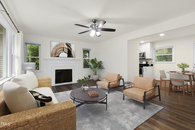 living room with a fireplace, dark wood finished floors, and a wealth of natural light