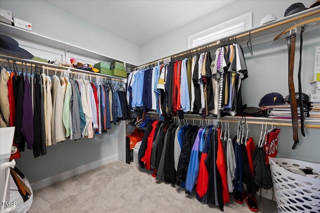 spacious closet featuring carpet flooring