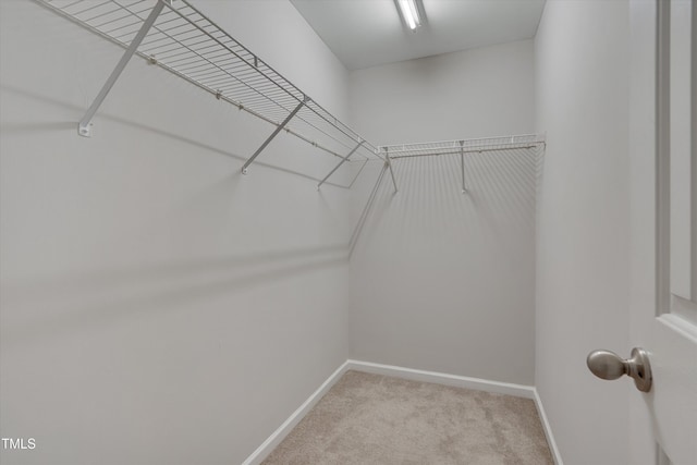 walk in closet with light colored carpet