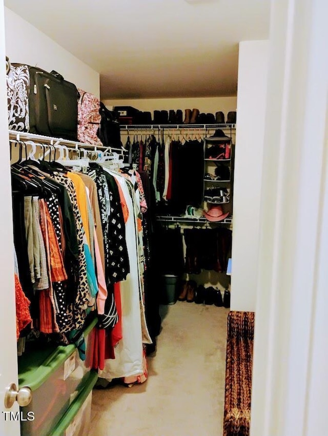 view of spacious closet