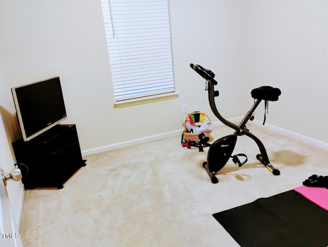 exercise area featuring baseboards and carpet flooring