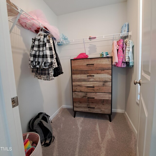 spacious closet with carpet flooring