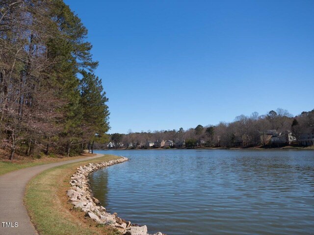 water view with a forest