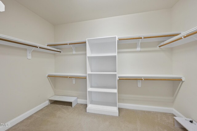 spacious closet featuring carpet