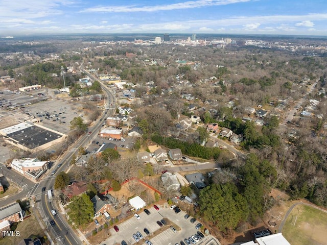 bird's eye view