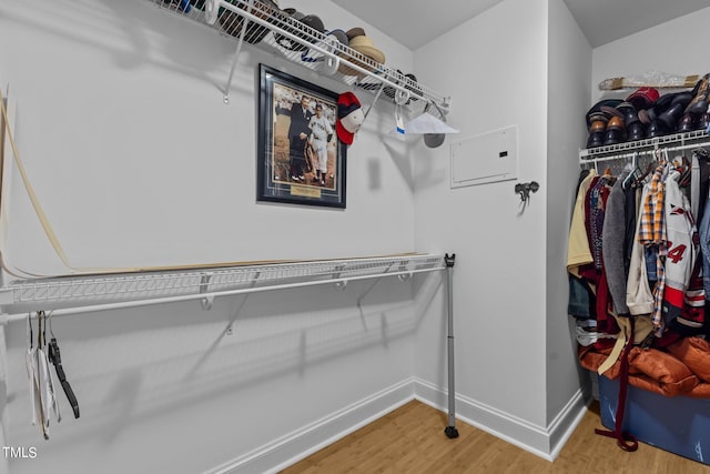 spacious closet featuring light wood-style floors