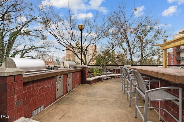 view of patio with an outdoor kitchen and outdoor wet bar