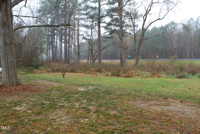 view of yard featuring a wooded view