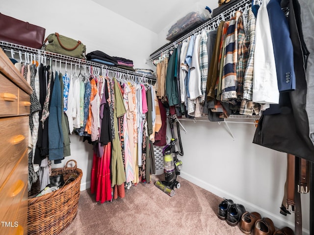 walk in closet with carpet flooring