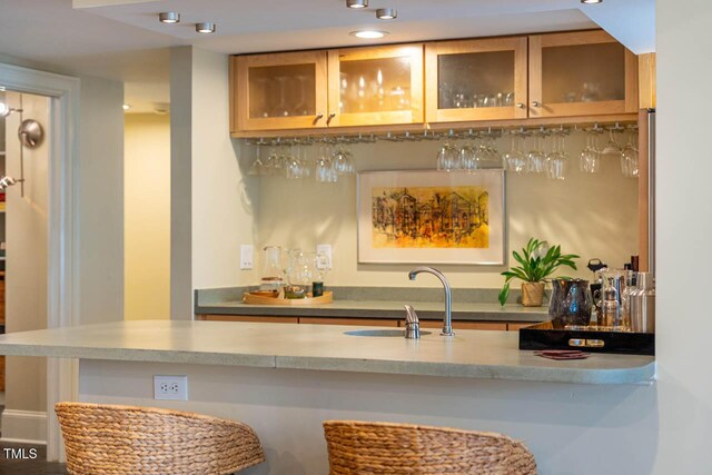 bar featuring indoor wet bar and a sink