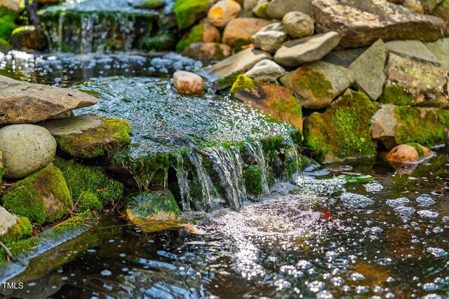 details featuring a small pond