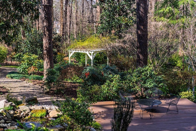 exterior space with a view of trees and a pergola