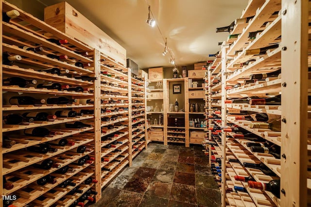 wine room with rail lighting and stone finish flooring