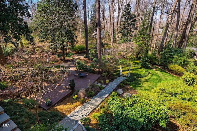 view of yard featuring a deck