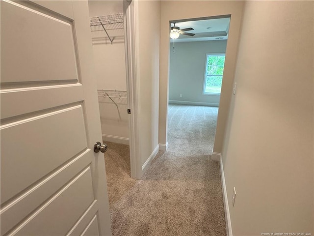 364 Whitestone Dr, Fayetteville, NC 28312 - hall featuring carpet floors and baseboards