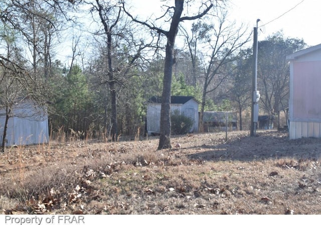 view of yard featuring an outbuilding and a storage shed