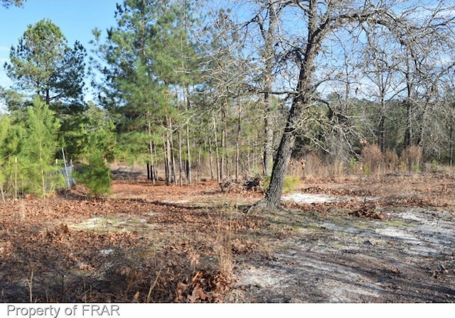 view of local wilderness featuring a view of trees