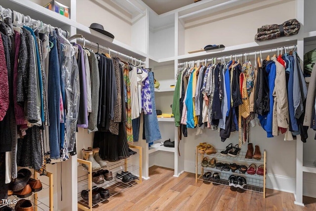 walk in closet featuring wood finished floors