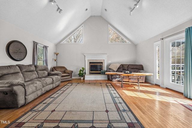 living room featuring a premium fireplace, high vaulted ceiling, and hardwood / wood-style floors