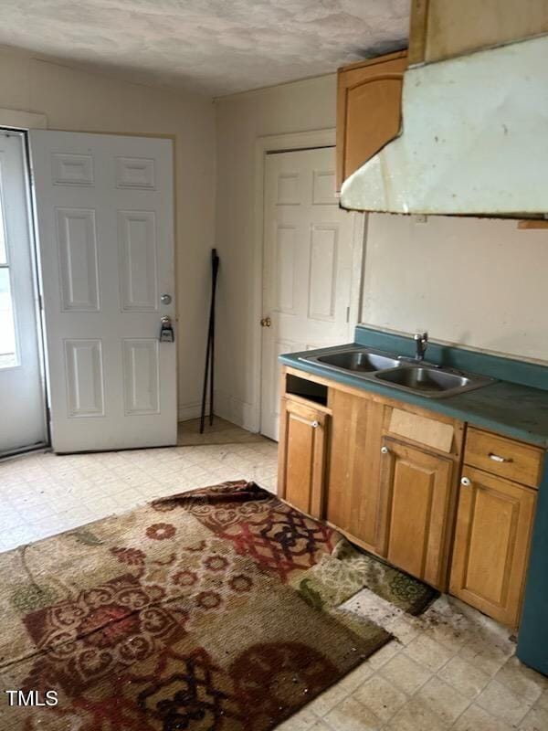 kitchen featuring a sink and light floors