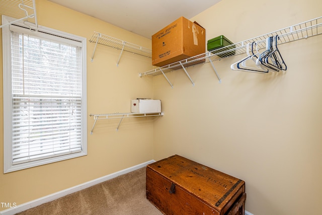 spacious closet with carpet flooring