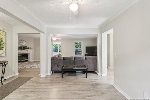 interior space featuring light wood-style floors, crown molding, baseboards, and a textured ceiling