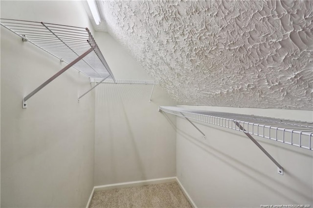 spacious closet featuring carpet flooring