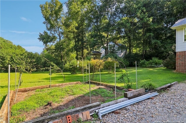 view of yard with a garden