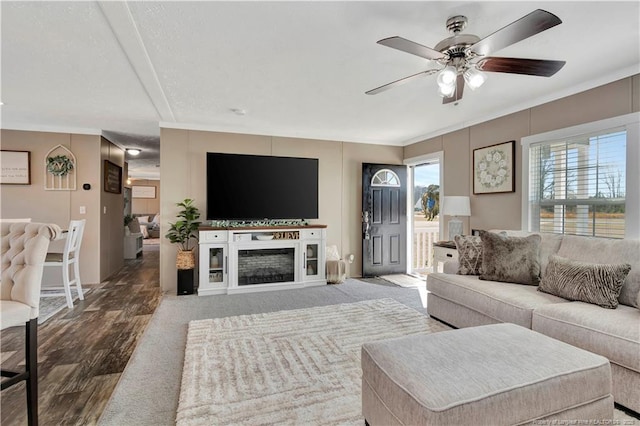 living room featuring ceiling fan, wood finished floors, and a glass covered fireplace