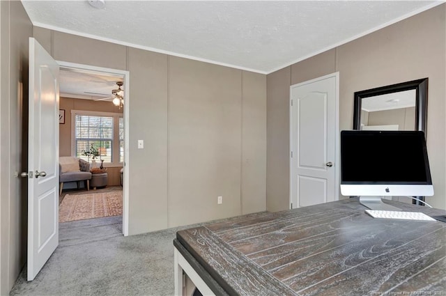 bedroom featuring carpet floors, ornamental molding, and a textured ceiling