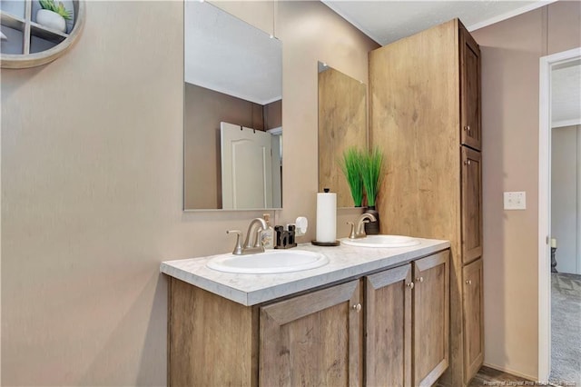 bathroom with a sink and double vanity