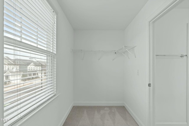 spacious closet with light carpet