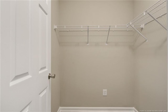 view of walk in closet