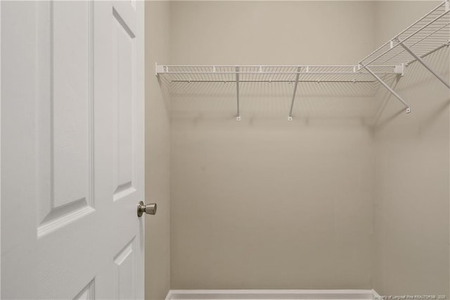 view of spacious closet