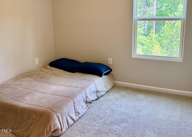 730 Firebrick Dr, Cary, NC 27519 - carpeted bedroom with baseboards