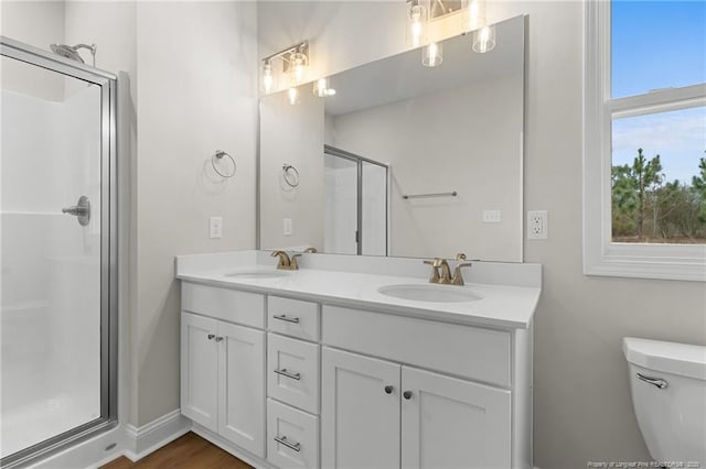 full bathroom featuring a sink, a shower stall, toilet, and double vanity