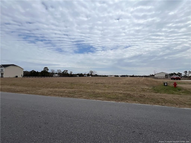 Listing photo 3 for 284 Rocking Horse Ln, Raeford NC 28376