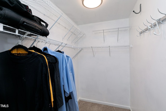 spacious closet with carpet flooring